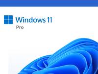 program Windows 11 Pro PL 64-bit OEM