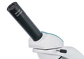 Monokularowy mikroskop Levenhuk 500M 40-400x - 4