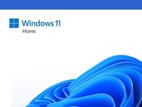 program Windows 11 HOME PL 64-bit OEM